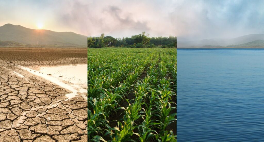 Como a crise climática redefine o risco e a oportunidade no setor de energia