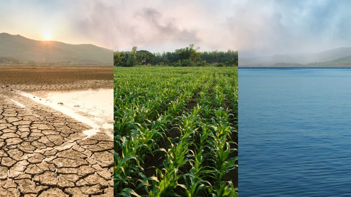 Como a crise climática redefine o risco e a oportunidade no setor de energia
