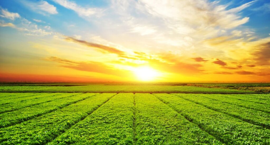 Como o agro brasileiro já gera mais energia que Itaipu e lidera a fronteira do biogás