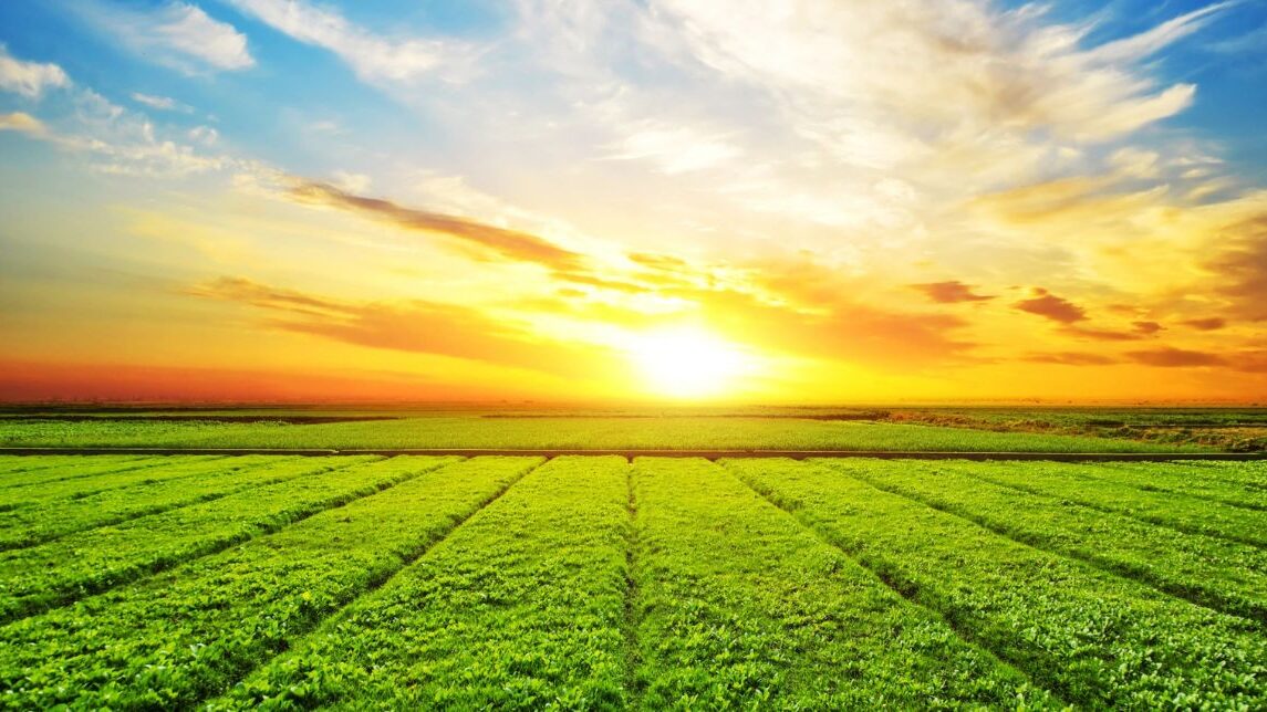 Como o agro brasileiro já gera mais energia que Itaipu e lidera a fronteira do biogás