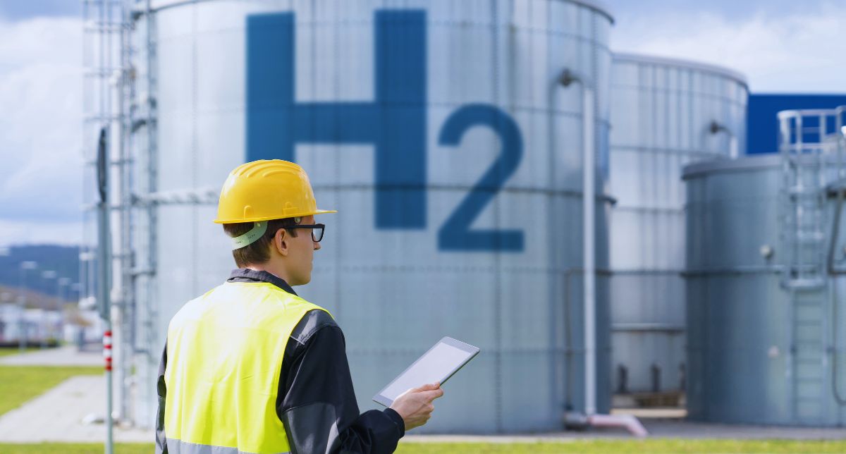 uma mina de ouro verde, e ainda não ousou abrir a porta