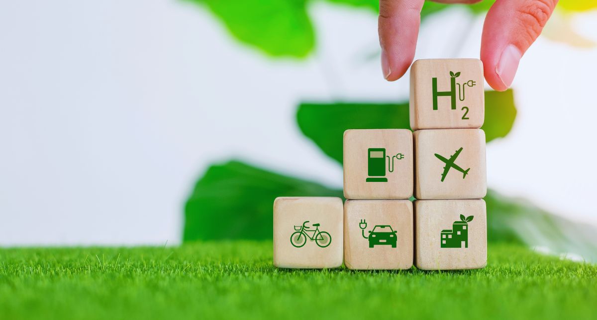 uma mina de ouro verde, e ainda não ousou abrir a porta