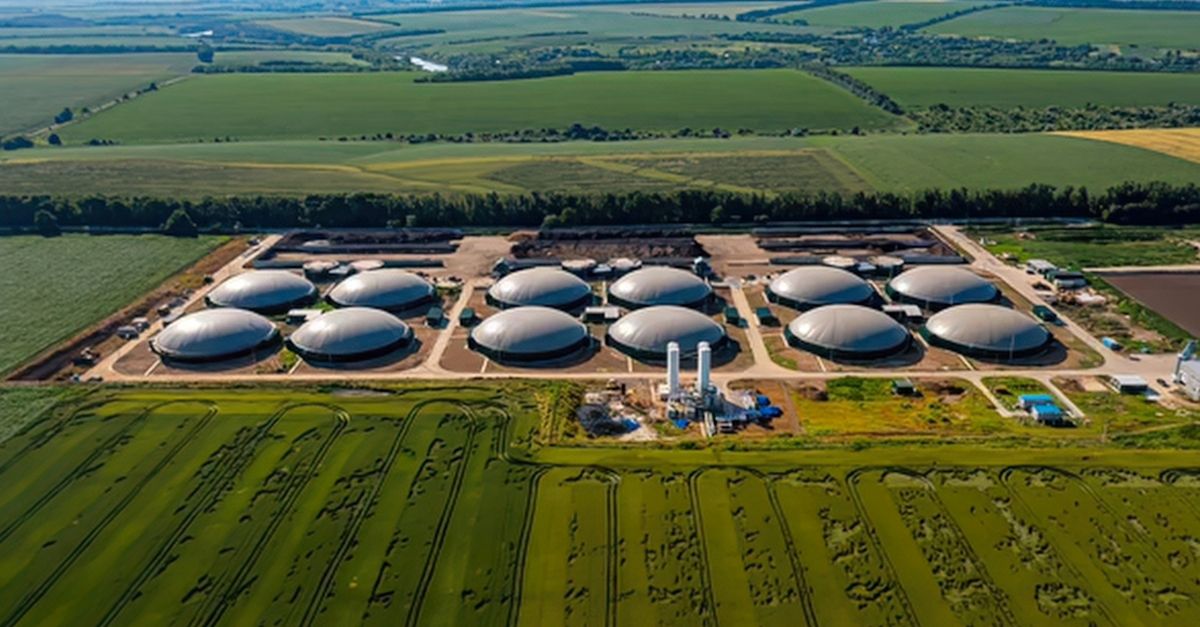 Biogás ganha novo papel estratégico no sistema elétrico brasileiro