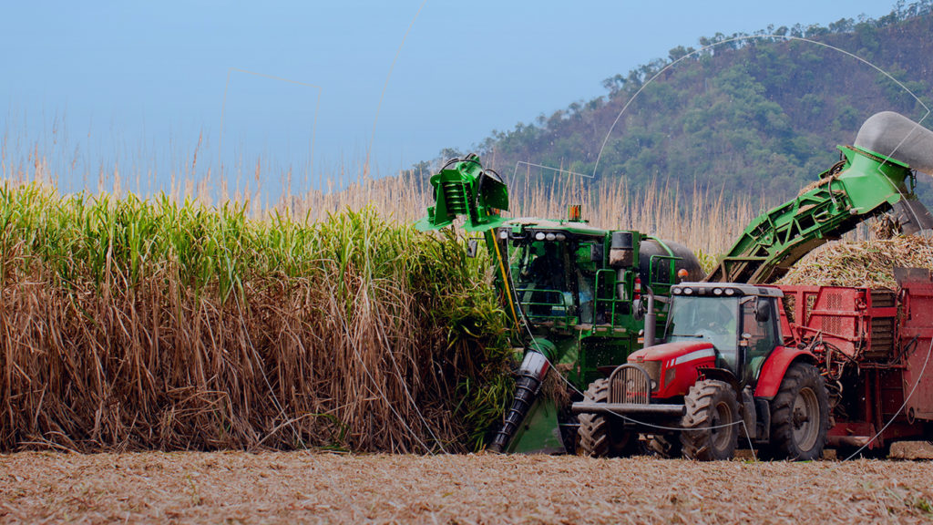 Investimento em biocombustíveis: entenda melhor!