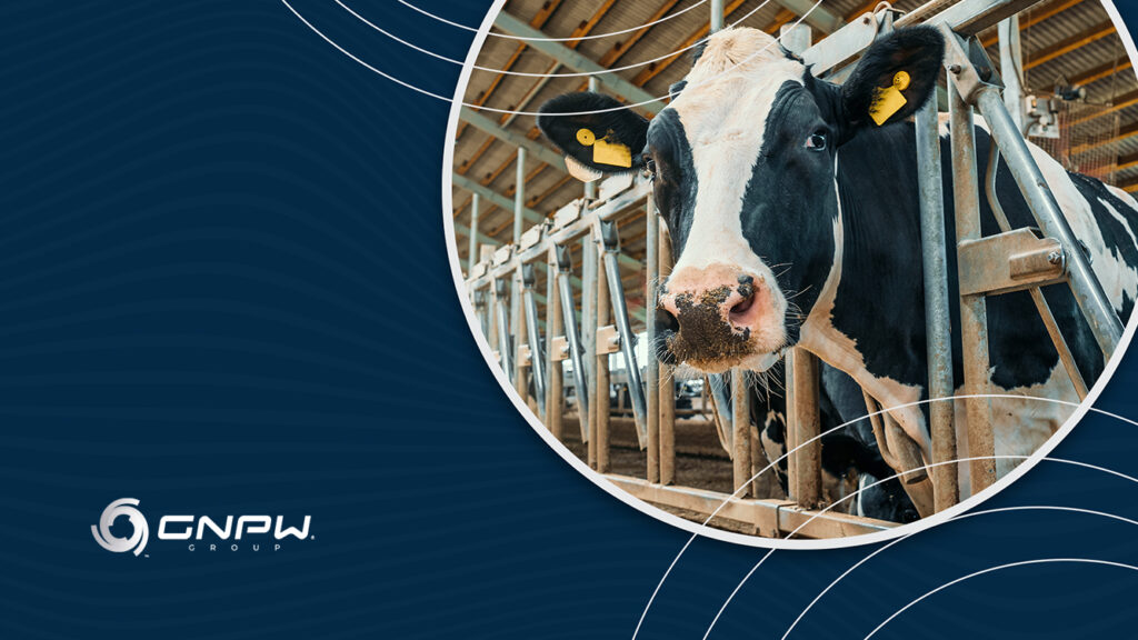 Biogás e biometano: um panorama geral