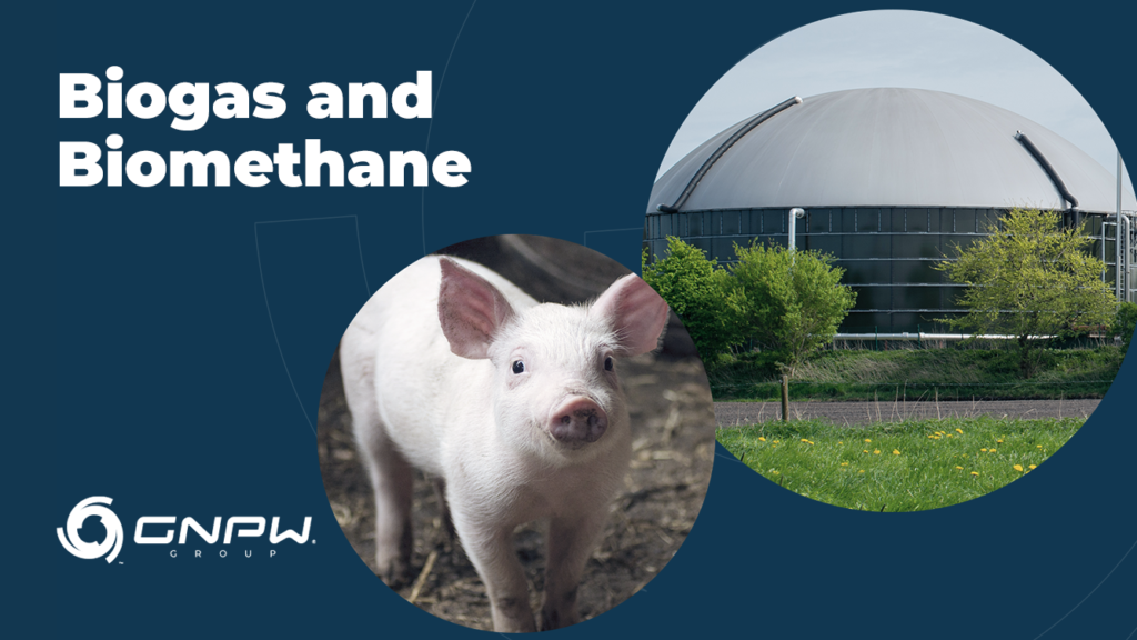 The growth of GD in the biogas and biomethane sector!