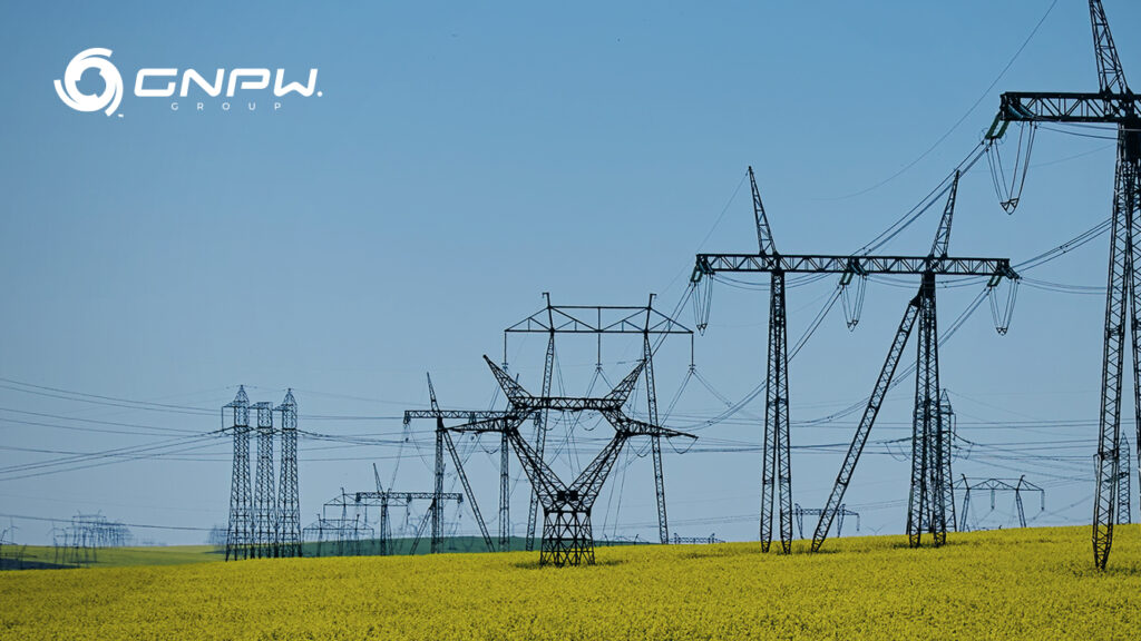 Por que a biomassa ainda é subestimada no Brasil?