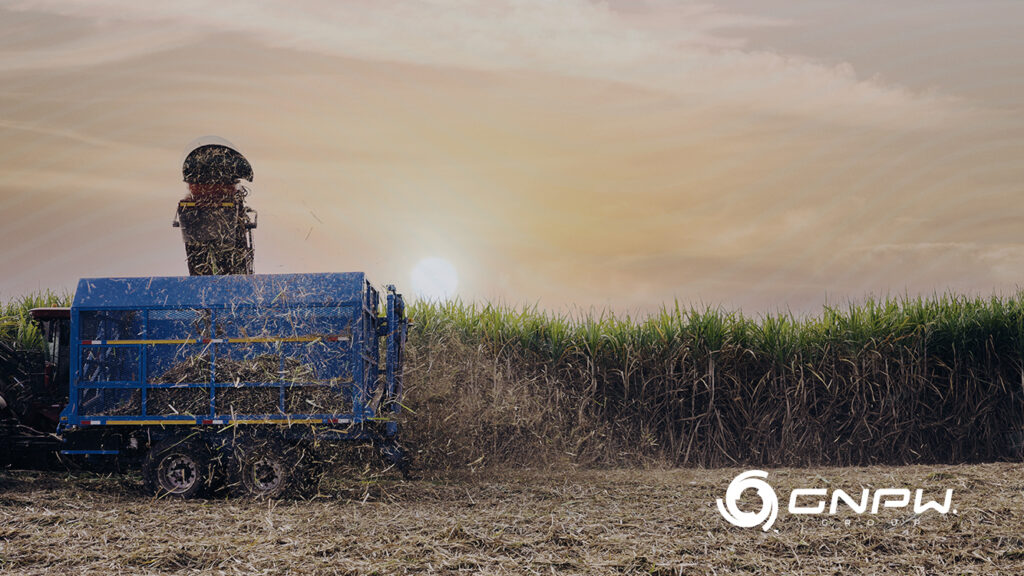 Potencial dos Biocombustiveis no Brasil
