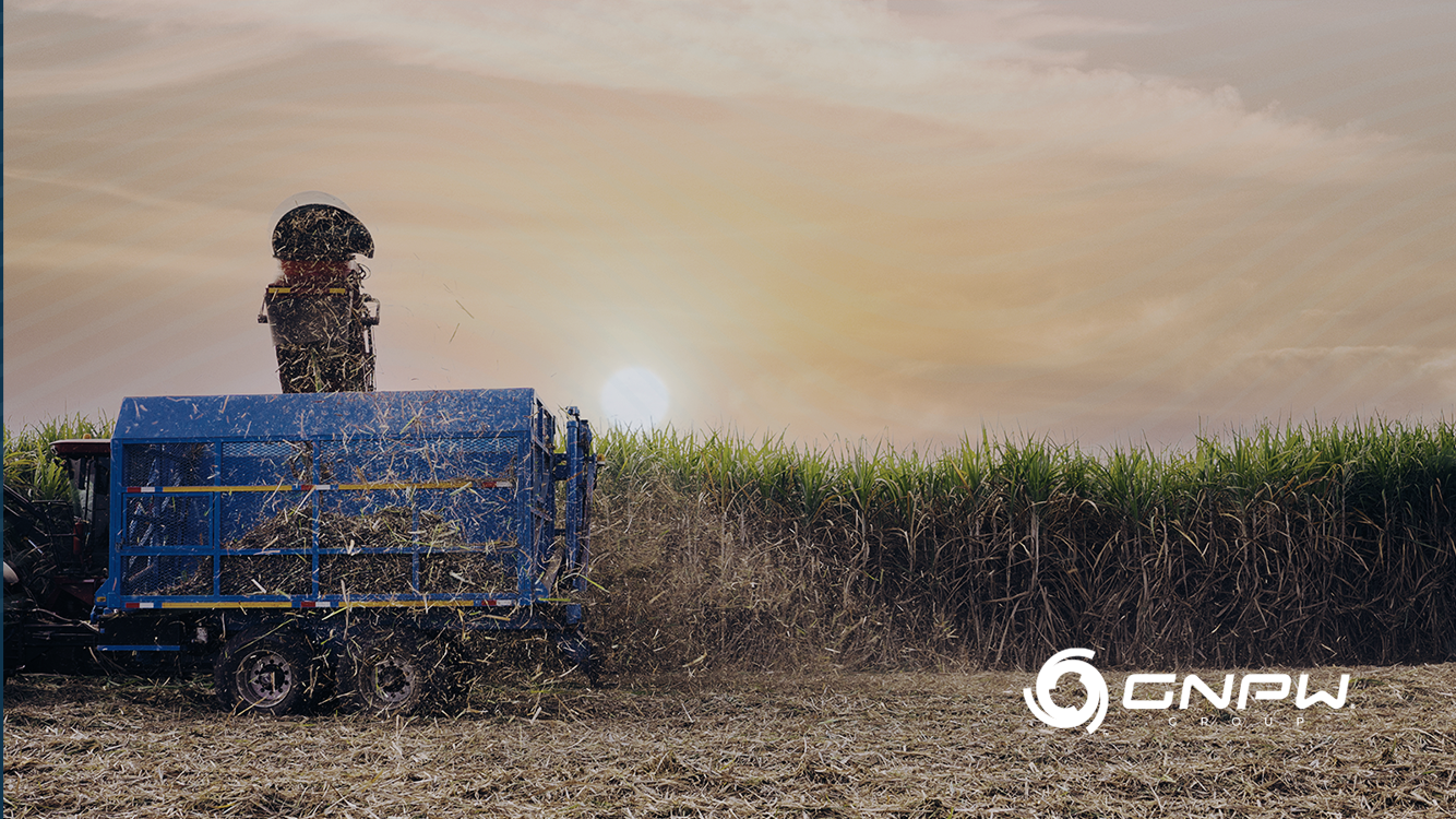 Potential of Biofuels in Brazil