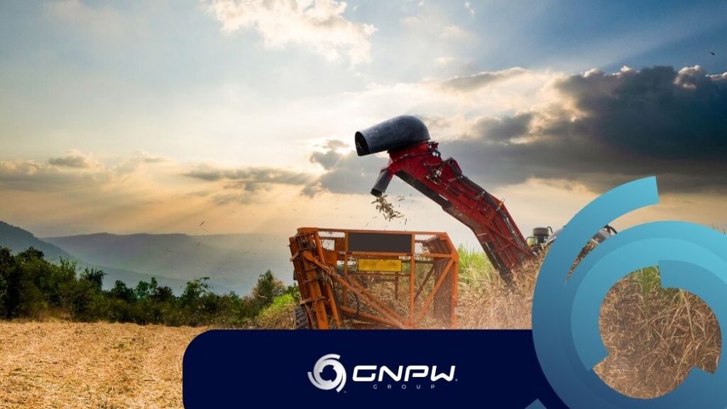 Conheça 4 fontes de bioenergia