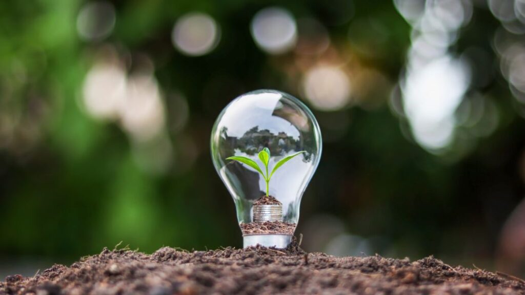 GNPW está contribuindo significativamente para a transição energética