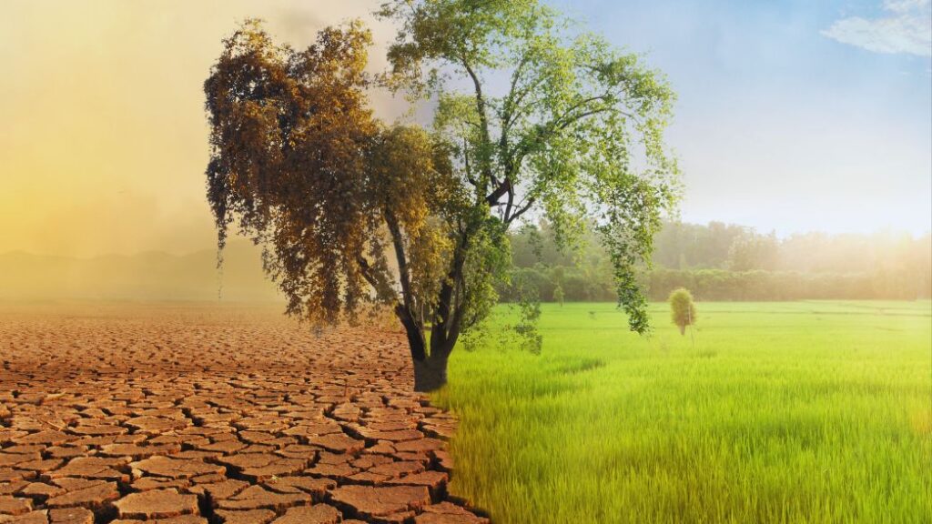 Ações para um futuro sustentável e livre de carbono