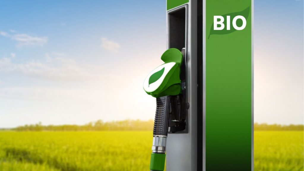Liderança em biocombustíveis e crescimento de energias renováveis