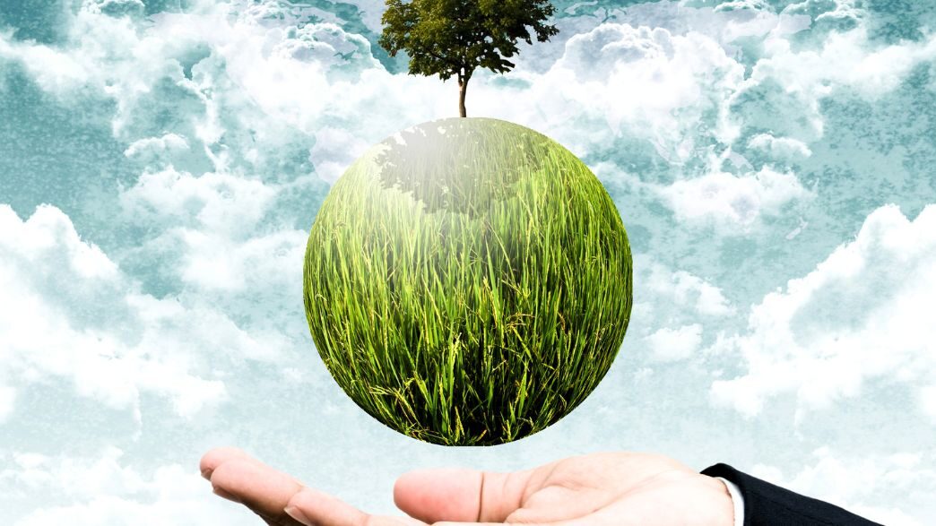 Brasil no G20: Pioneirismo na Bioeconomia e a Jornada para a Liderança em Energia Limpa