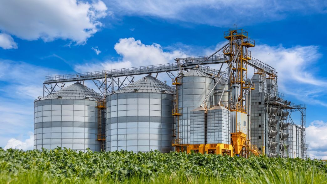 Bioeconomia: Impulsionando o Futuro da Energia Limpa e Sustentável