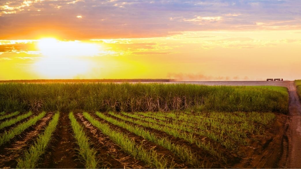 Expansão do Mercado de Biogás e Biometano no Brasil
