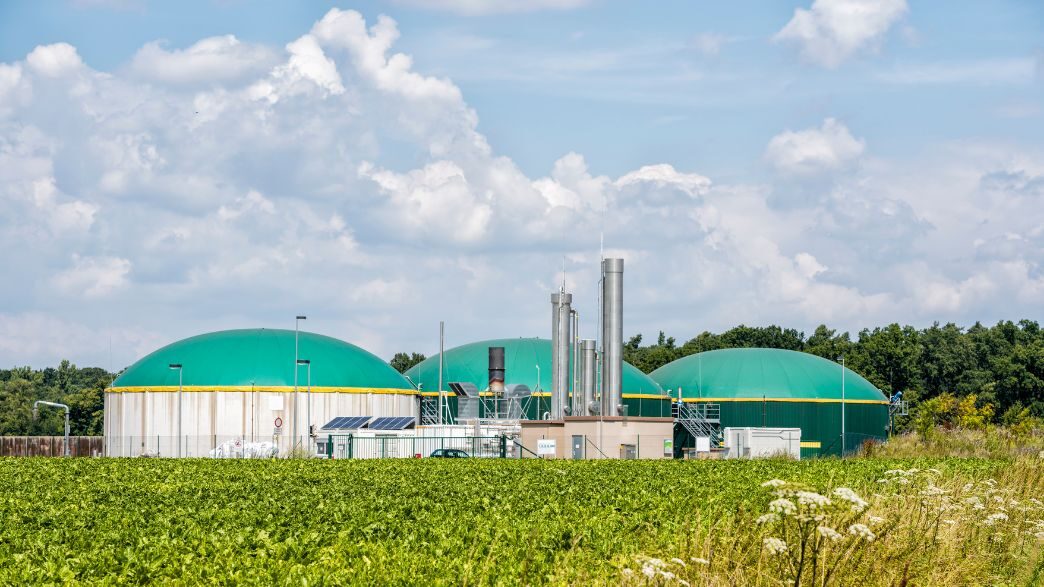 COP29: A Urgência de Triplicar a Capacidade de Energias Renováveis até 2030 para Limitar o Aquecimento Global