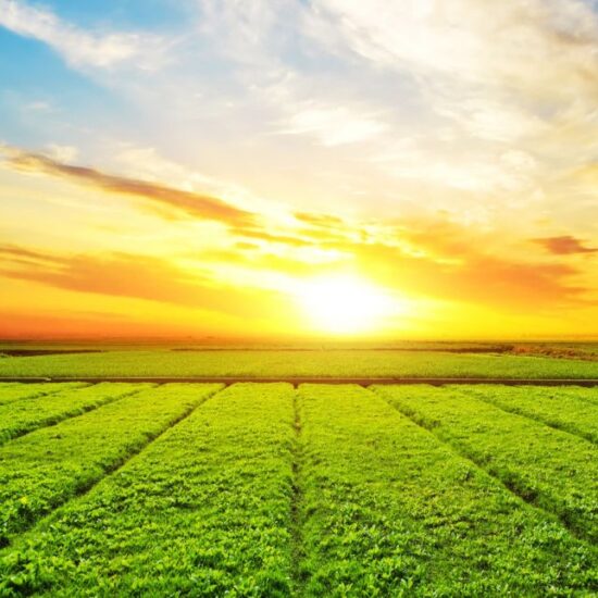 Como o agro brasileiro já gera mais energia que Itaipu e lidera a fronteira do biogás