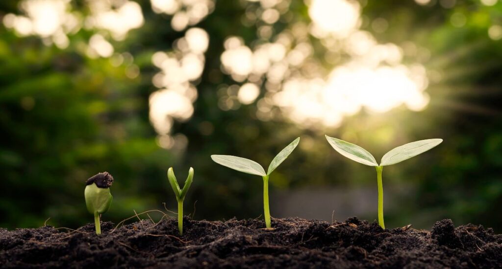 Pré-COP30 Brasília: Marco Estratégico na Preparação para a COP30 em Belém