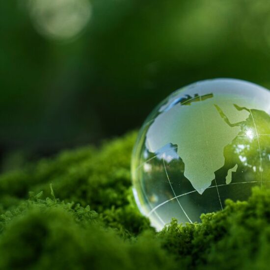 COP 30 no Brasil: por que este é o momento decisivo para investimentos em energia limpa e biometano