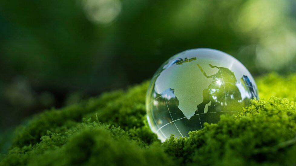 COP 30 no Brasil: por que este é o momento decisivo para investimentos em energia limpa e biometano