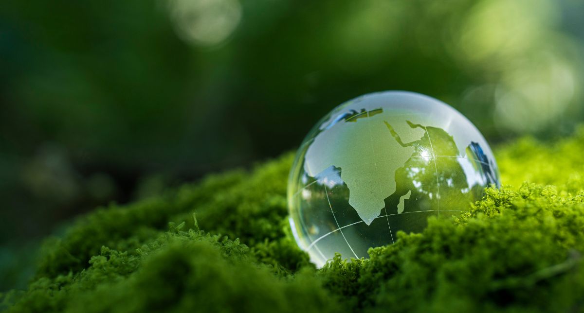 COP 30 no Brasil: por que este é o momento decisivo para investimentos em energia limpa e biometano