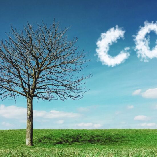 IETA e a Dinâmica dos Mercados de Carbono: Pós-COP30 e o Caminho para 2030