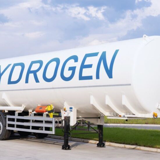 uma mina de ouro verde, e ainda não ousou abrir a porta