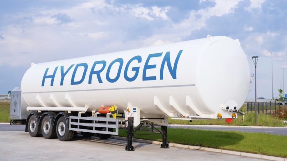 uma mina de ouro verde, e ainda não ousou abrir a porta