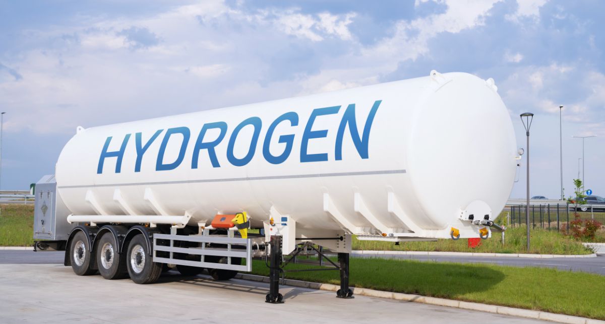 uma mina de ouro verde, e ainda não ousou abrir a porta